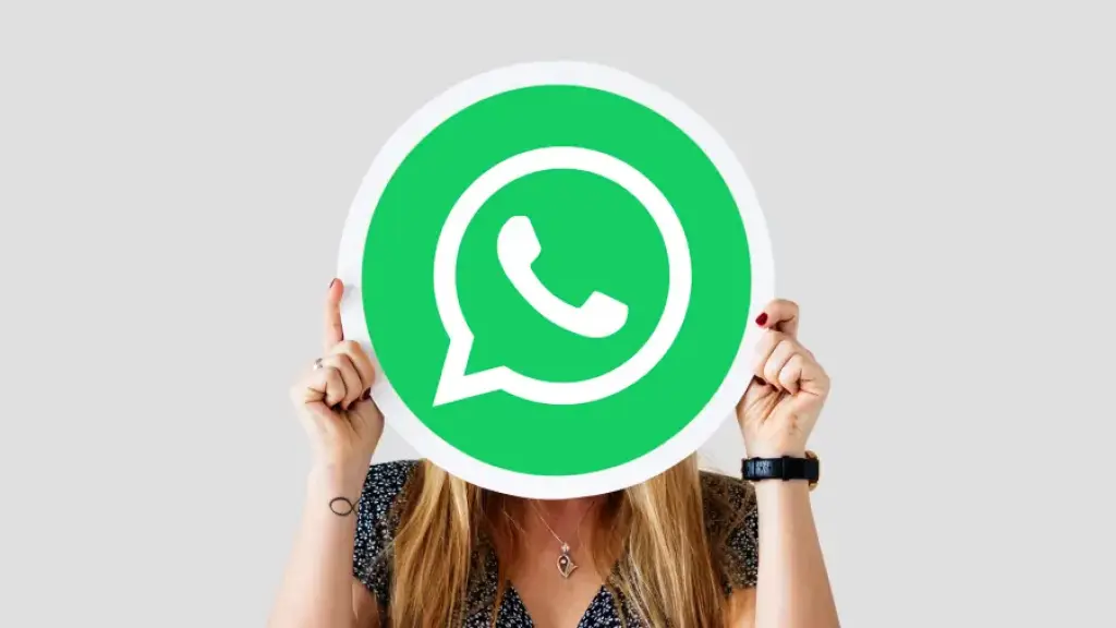 Ini Cara Agar WhatsApp Centang 1 Tanpa Mematikan Data Internet